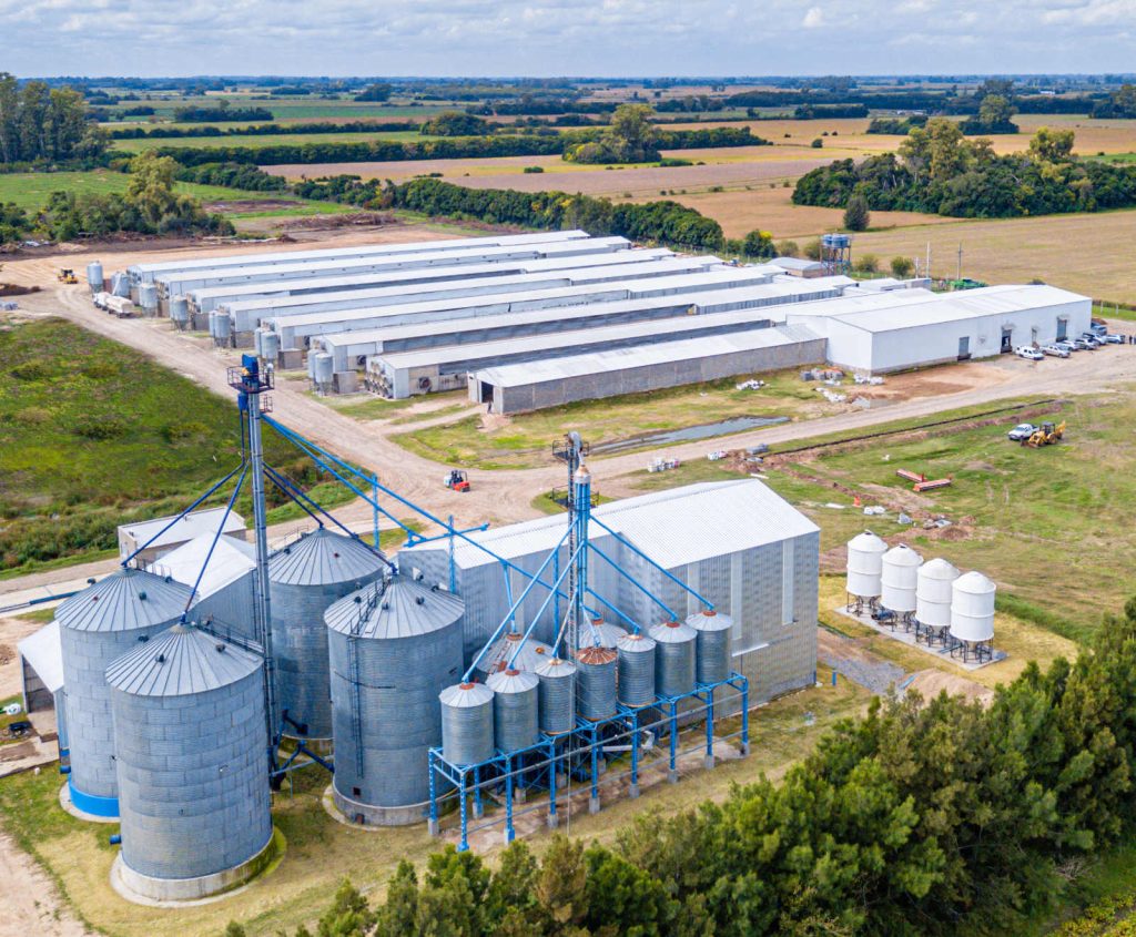 Cyclamen es nuestra granja localizada en Mercedes, en donde contamos con jaulas y un sistema de recolección con tecnología Alemana y Holandesa, lo que garantiza un estándar excepcional en el bienestar de nuestros animales y la recolección de nuestros productos.