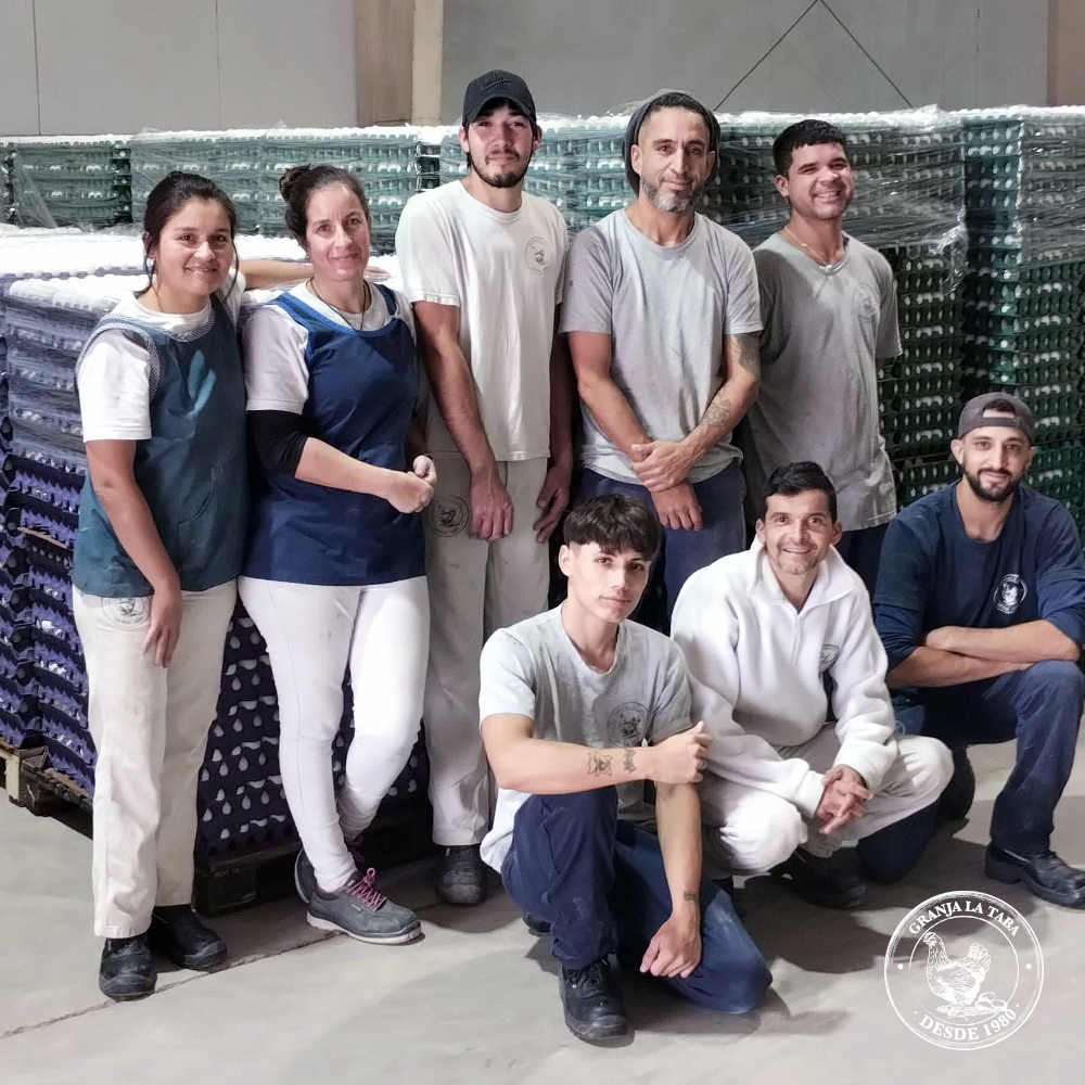 Equipos en plantas